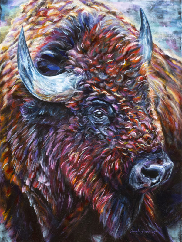 Bison, by Pamela Pachmayr
